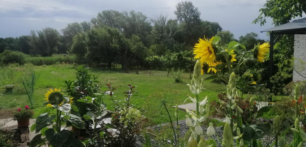 Apartament Nakonci Vacenovice Zewnętrze zdjęcie